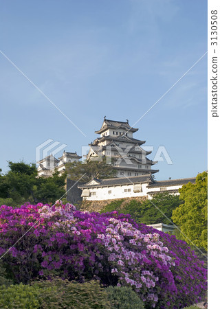 Azalea of Himeji Castle 3130508