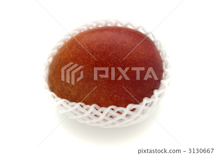 芒果 芒果 3130667