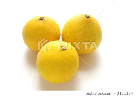 土佐的小夏天 3131334