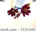 Small fall 3131349