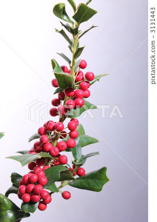 聖誕灑紅節 3131443