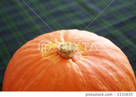 Yellow pumpkin Yellow pumpkin 3131635