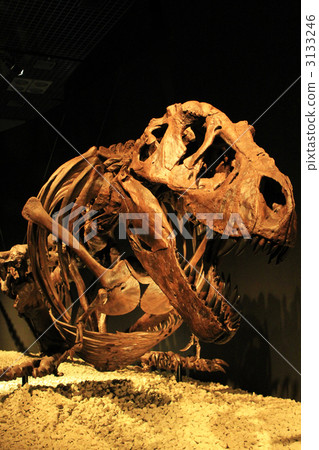 Tyrannosaurus 3133246
