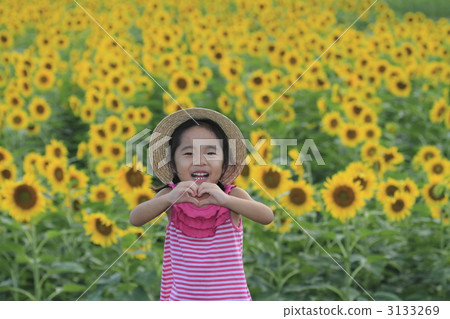 女生 女 女性 3133269