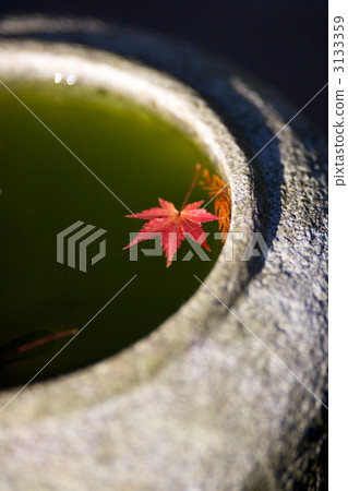 日本秋季日本圖像秋葉 3133359