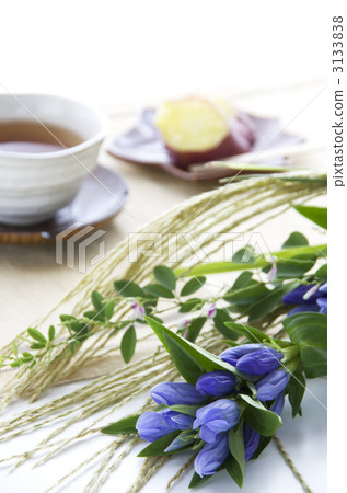 秋天的花朵和茶時間 秋天的花朵和茶時間 3133838