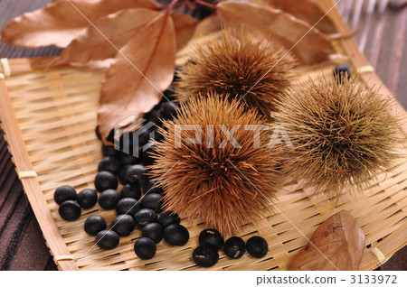 黑豆和棕色栗子 3133972