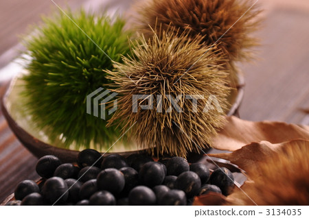 黑豆 丹波黑豆 板栗 3134035