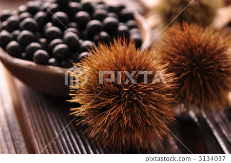 黑豆 丹波黑豆 板栗 3134037