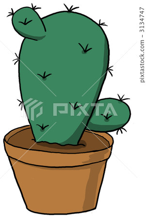 Fan cactus Fan cactus 3134747