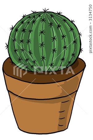 Cactus 3134750