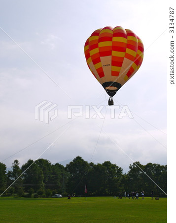 Balloon 1 3134787