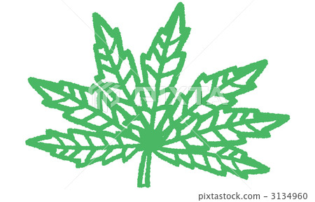 hemp, gunny, cannabis sativa 3134960
