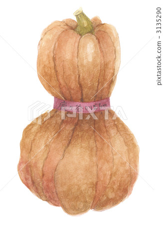 Shakagaya南瓜 3135290