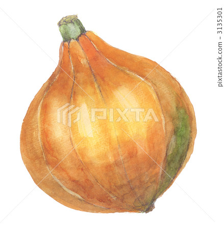 Pumpkin with colinkey change 3135301