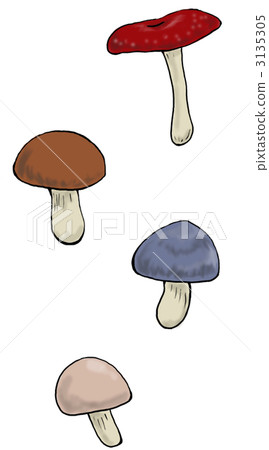 mushroom mushroom 3135305