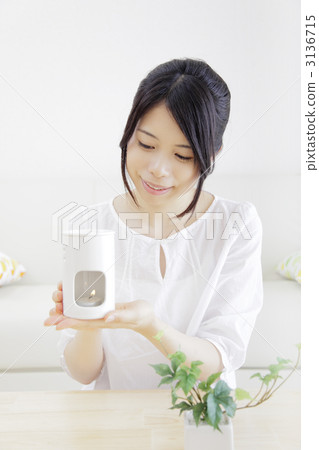 female, lady, woman 3136715