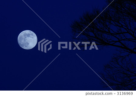 full moon 3136969