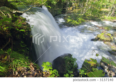 Choshi Otaki 3137140