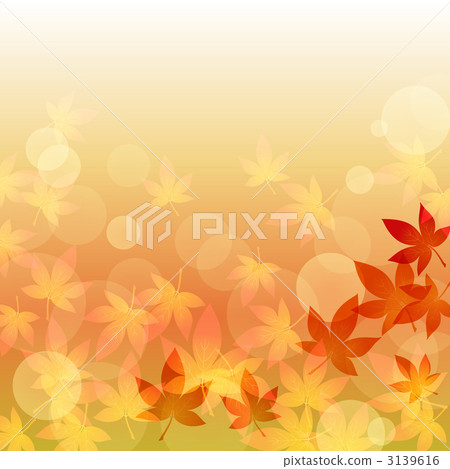 maple, yellow leafe, foliage 3139616