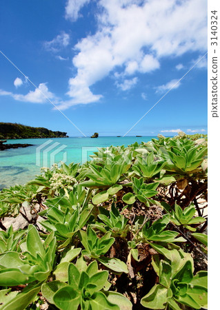monpa-no-ki, landscape, scape 3140324