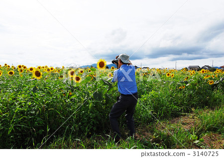 退休後的樂趣 3140725