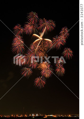 在林肯公園的煙花節 3141077