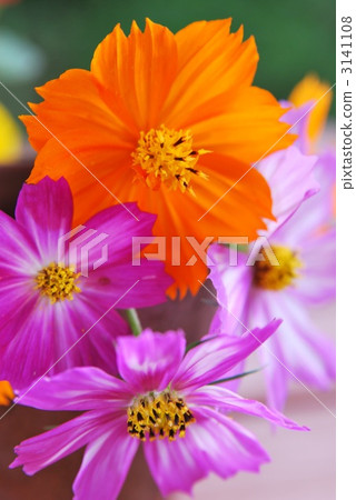 Cosmos 3141108