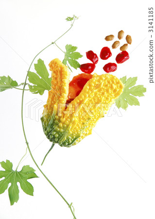 成熟的苦瓜 成熟的苦瓜 3141185