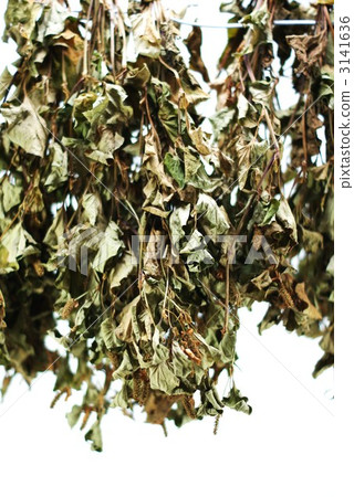Dry Tokuyumi · Ten medicine making vertical position 3141636