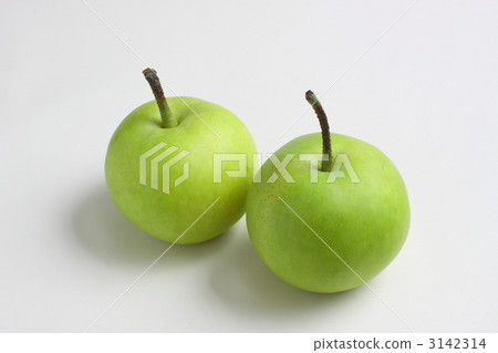 二十世紀的梨 二十世紀的梨 3142314