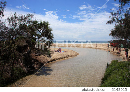 Australia · Fraser Island · Eli Creek Australia · Fraser Island · Eli Creek 3142915