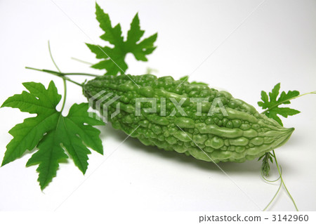 戈雅水平位置 3142960