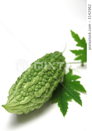 Goya vertical position 3142962