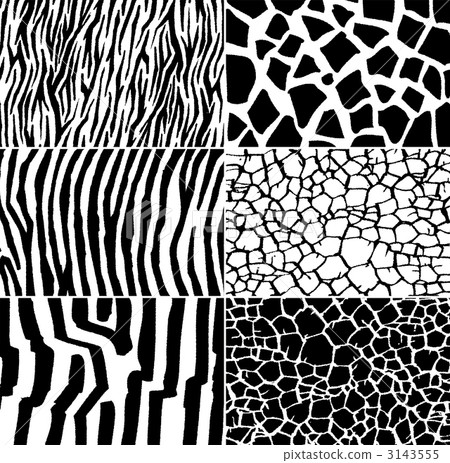 動物圖案 動物圖案 3143555