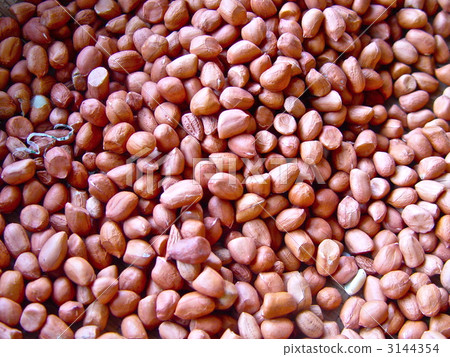 Peanuts (Hanoi / Vietnam) Peanuts (Hanoi / Vietnam) 3144354