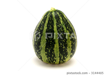 Karakuri南瓜 3144485