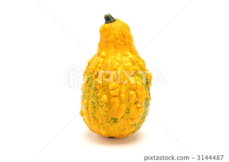 Karakuri南瓜 3144487