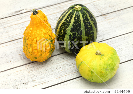 南瓜觀賞 3144499