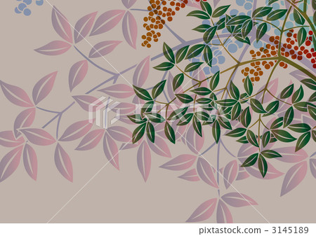 fruit of the nandin, nandina, leaf 3145189