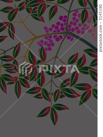fruit of the nandin, nandina, leaf 3145190
