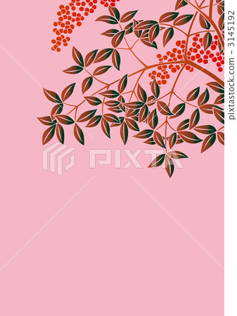 南天樹的果實 南天竹 葉子 3145192