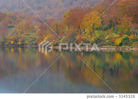 Lake Water Nishiki 3145328
