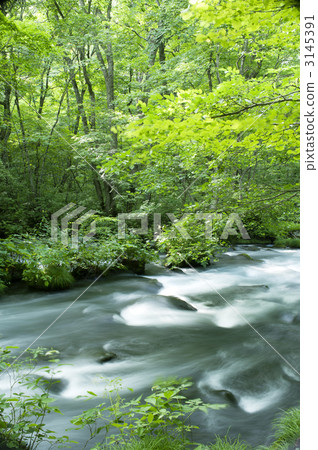 Oirase stream 3145391