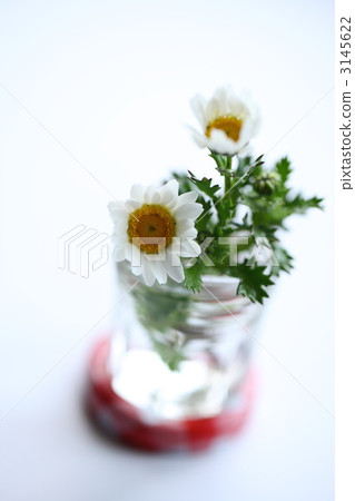 花瓶 室內設計師 室內裝飾 3145622