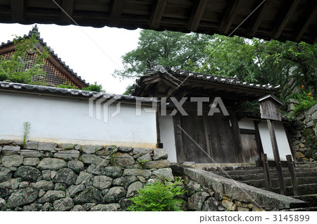 Hasegaji Shikokuin 3145899