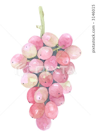 Rosary Rosso葡萄 Rosary Rosso葡萄 3146015