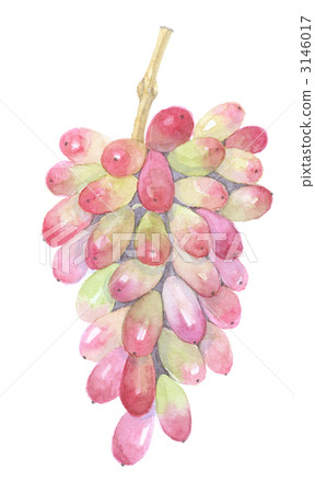 修指甲手指葡萄 3146017