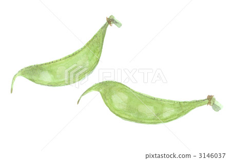 Tsurumame kaga vegetables 3146037