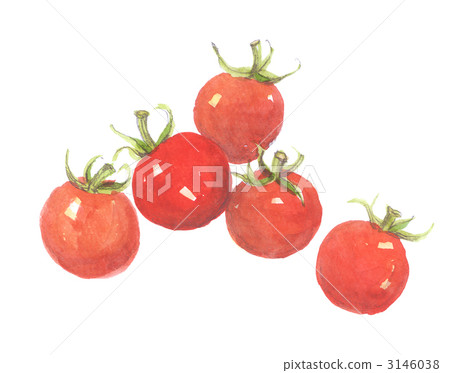 櫻桃西紅柿 櫻桃西紅柿 3146038